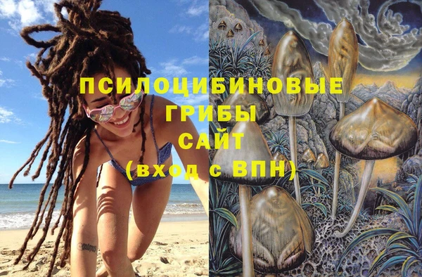 кокаин перу Богданович