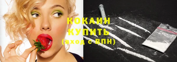прущие грибы Богородск