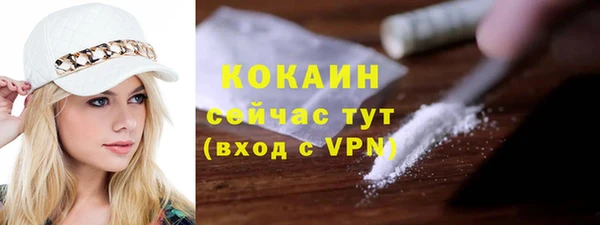 прущие грибы Богородск