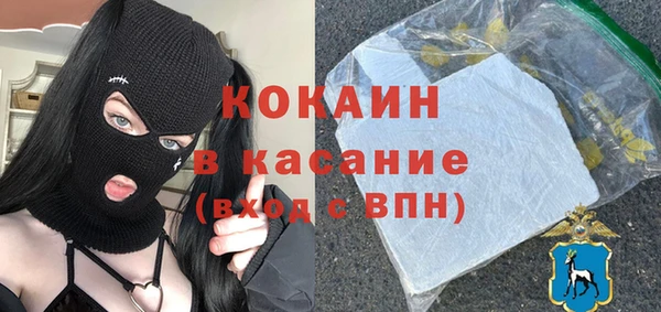 прущие грибы Богородск