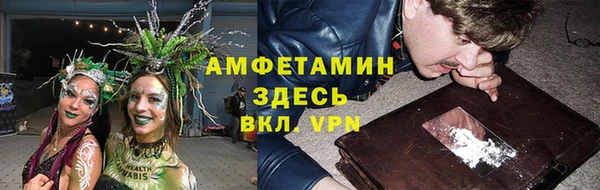 прущие грибы Саяногорск