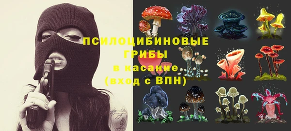 соль ск Сафоново