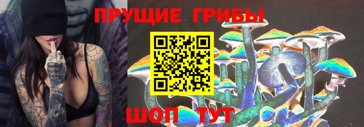 Галлюциногенные грибы прущие грибы Пыть-Ях